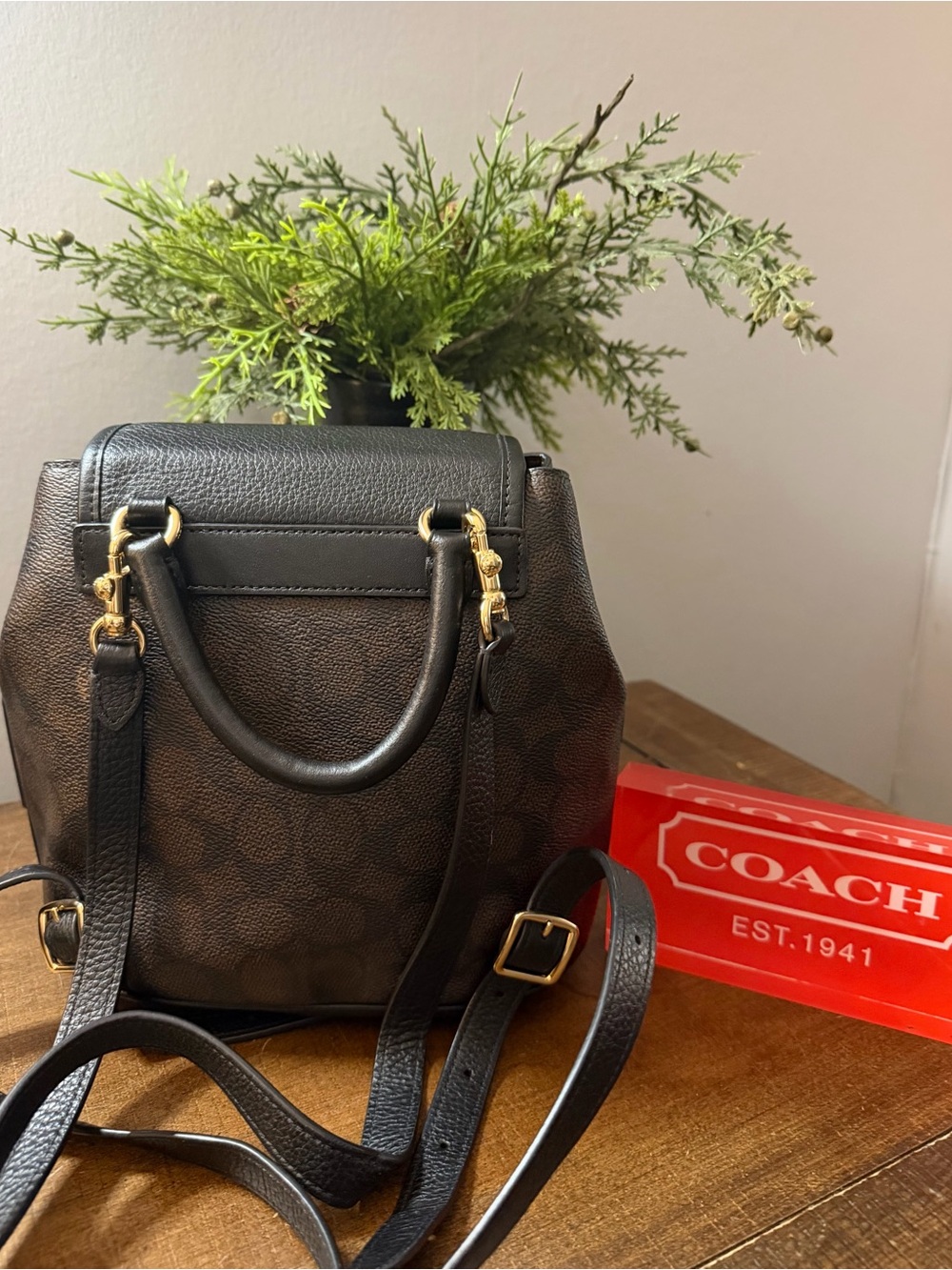 Coach Mini Hadley Backpack - Picture 2 of 14